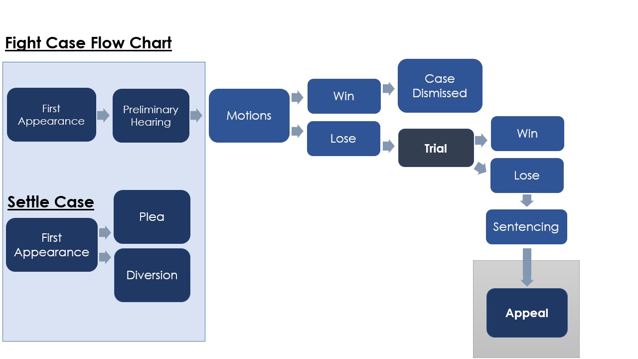 Fight Criminal Case Flow Chart