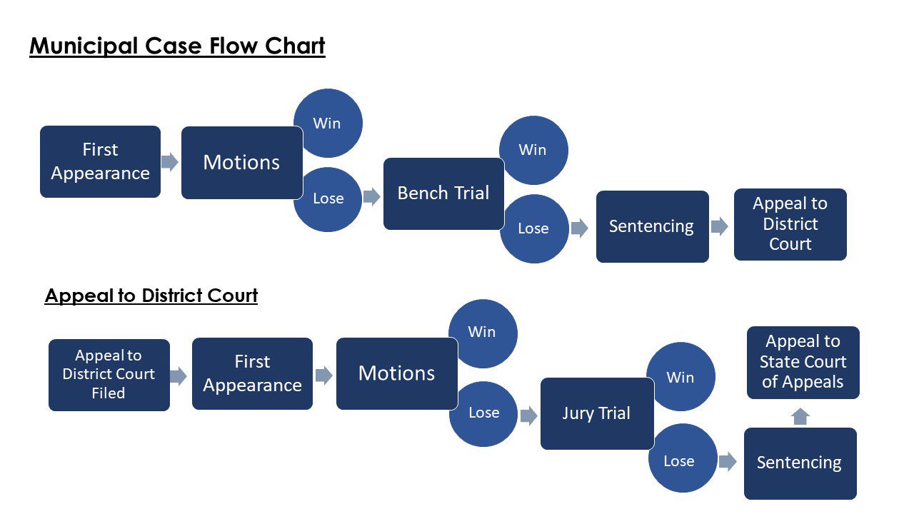 Municipal Case Flow Chart